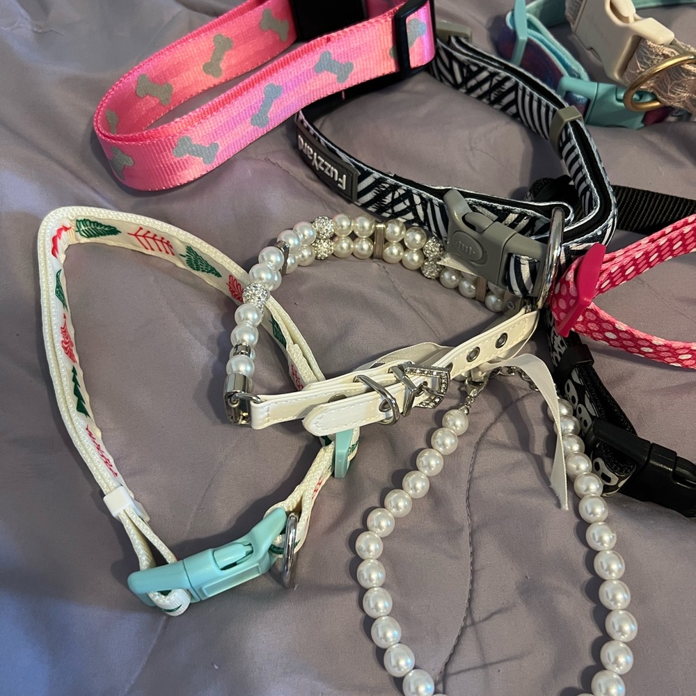 Assorted Dog Collars with Various Designs - Picture 3 of 5